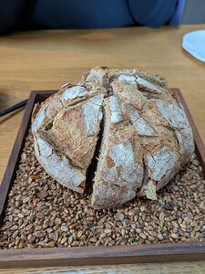 20250522_PXL104617554_Pixel7a-JEB